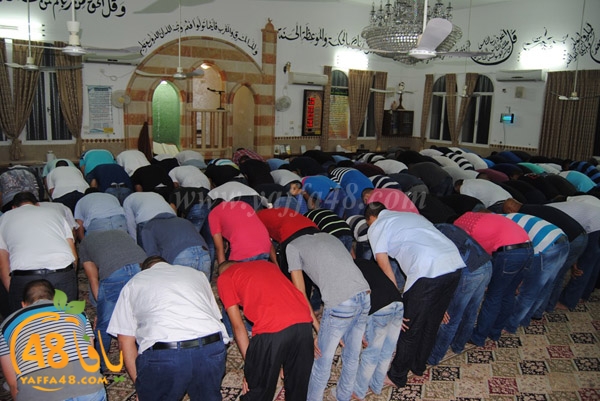 tarawee7 rebate (2).JPG